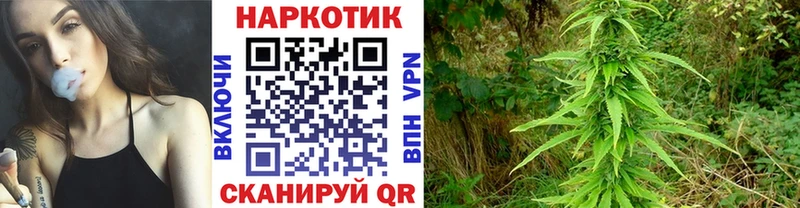 Купить наркотик аптеки Сковородино Амфетамин  Гашиш  Конопля  КОКАИН 
