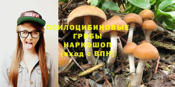 каннабис Пролетарск
