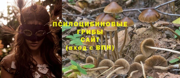 молекула духа Протвино