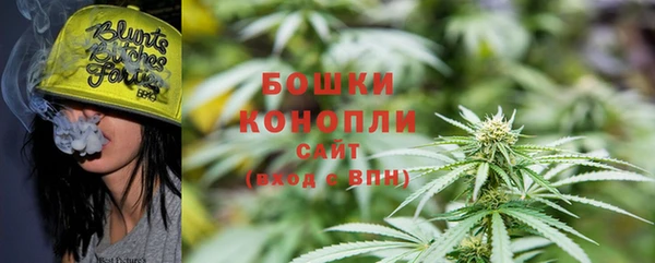 молекула духа Протвино