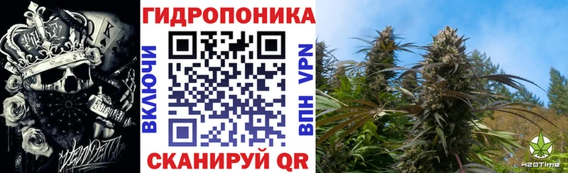 Конопля OG Kush даркнет сайт Сковородино